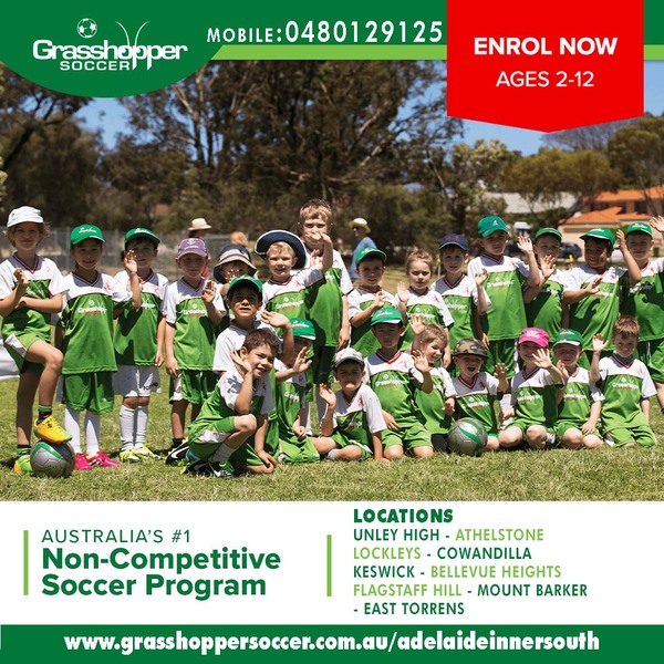Grasshopper Soccer  T2 Flyer