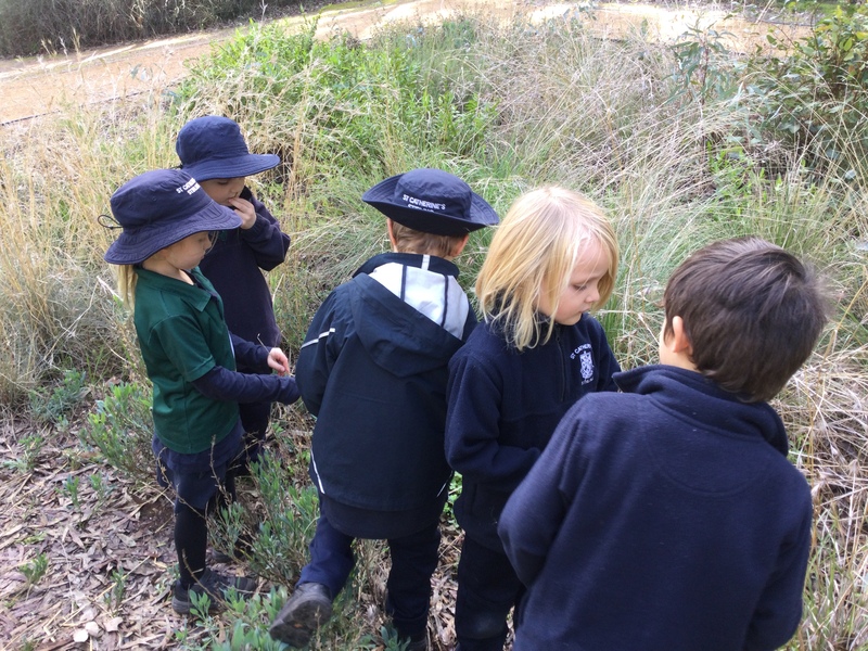 NAIDOC 2