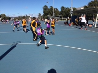 Netball 8