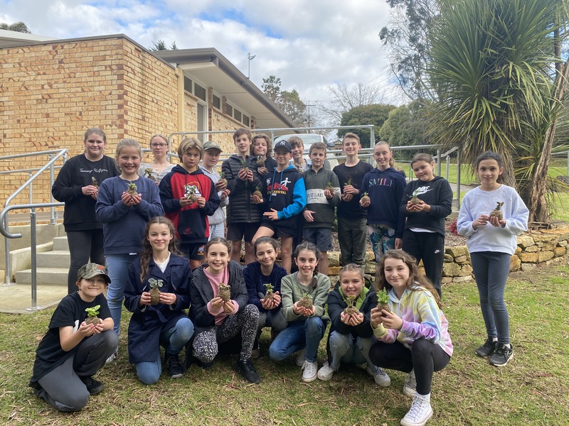 Year 6 Reflection Day 4