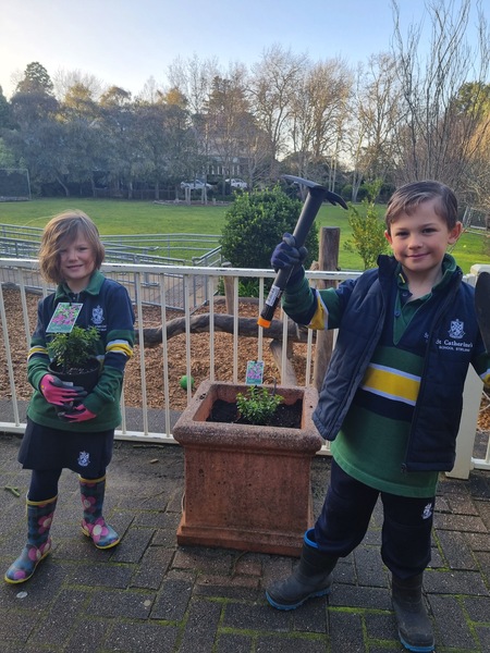 Gardening 2