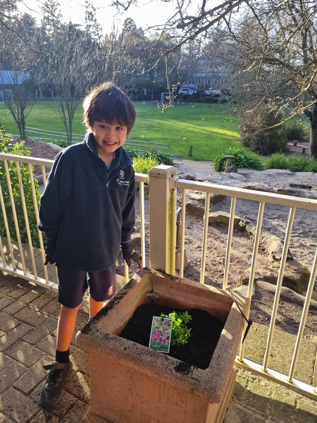 Gardening 3