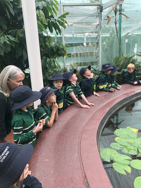 Botanic Gardens 1