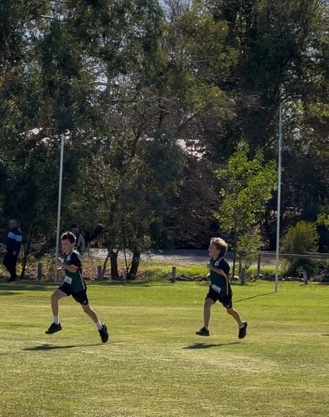 Cross Country 6